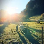 Familienzeit 拉姆绍达赫斯坦