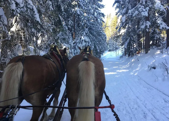 Familienzeit Apartment *